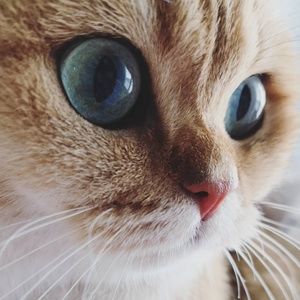 Meet your Posher, Judith